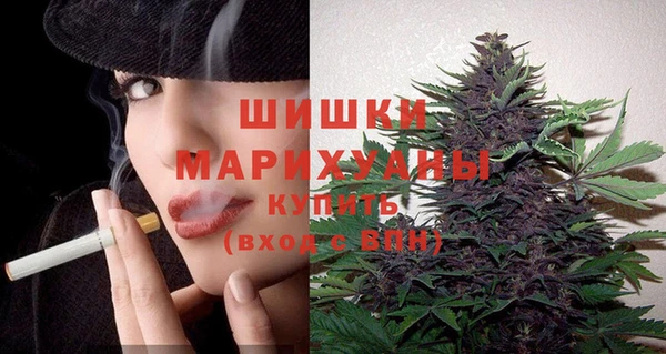 дурь Арсеньев