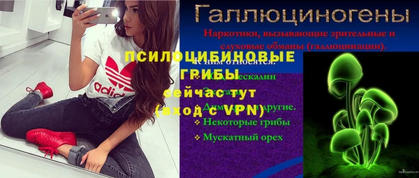 дурь Арсеньев