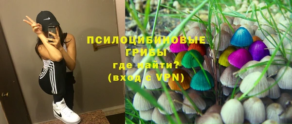 Альфа ПВП Армянск