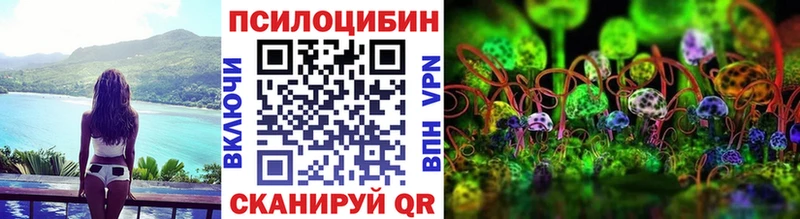 сайты даркнета как зайти  купить  цена  Закаменск  Псилоцибиновые грибы ЛСД 
